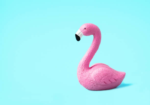 flamant rose de jouet sur un fond bleu clair - plastic flamingo photos et images de collection