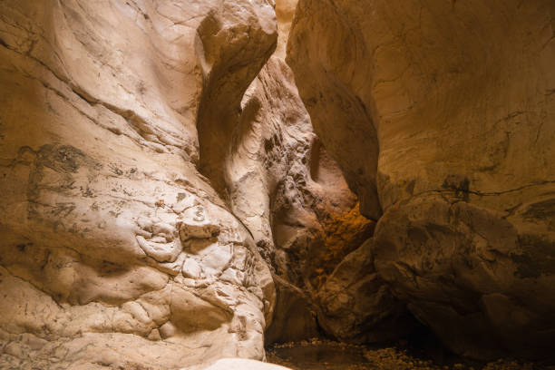 istock Canyon Saklikent inside view in Turkey. 1306160477