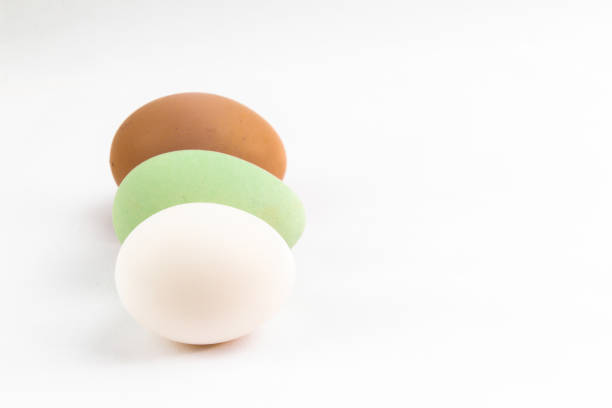 istock White, brown and green Araucana chicken egg isolated on white background with copy space 1306161093
