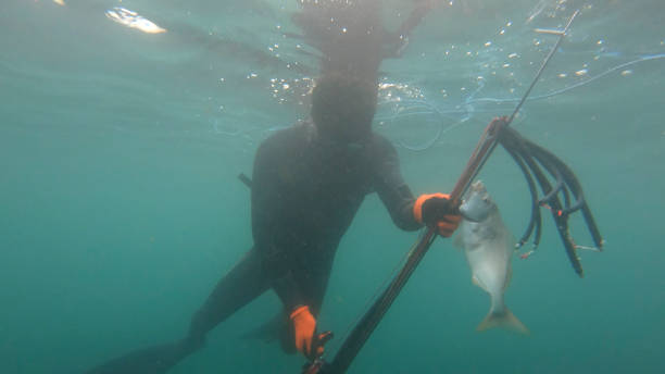 istock Underwater view of young man pulling fish off speargun 1306163342