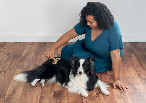 istock young woman with a dog at home 1306163530