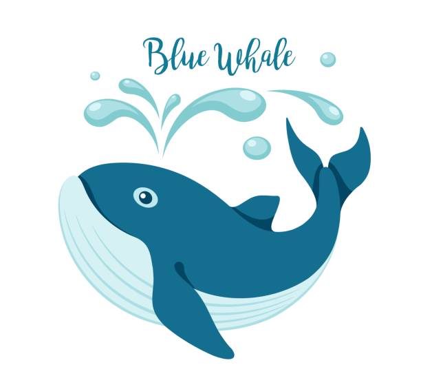 Blue whale logo. Vector illustration Blue whale logo. Cartoon animal on white background. Design element of the sea, ecology, environmental protection and wildlife. Isolated. Vector illustration blue whale tail stock illustrations