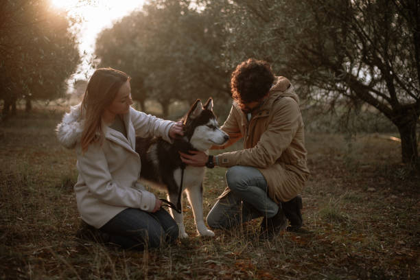 istock Couple playing with their dog 1306168981