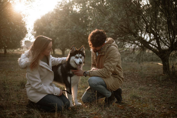 istock Couple playing with their dog 1306169544