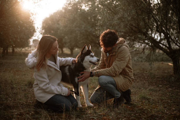 istock Couple playing with their dog 1306169553