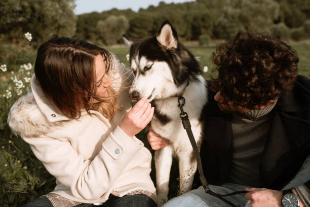 istock Couple playing with their dog 1306169569