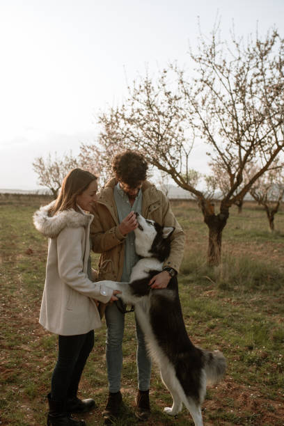 istock Young couple playing with their dog 1306170149