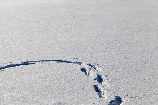 footprints and dents in the snow