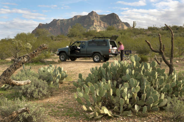 Woman truck camping Sonoran Desert Picketpost Mountain Tonto National Forest Arizona Standing at the back of a camper truck a woman with long hair enjoys the desert with its spiny cactus in front of the 4375 foot tall Picketpost Mountain in the Sonoran Desert of the Tonto National Forest in Arizona. sonoran desert stock pictures, royalty-free photos & images