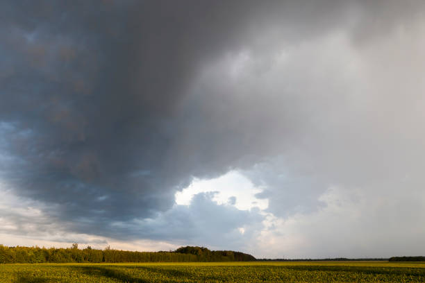 istock beautiful landscape with trees and sky 1306177573