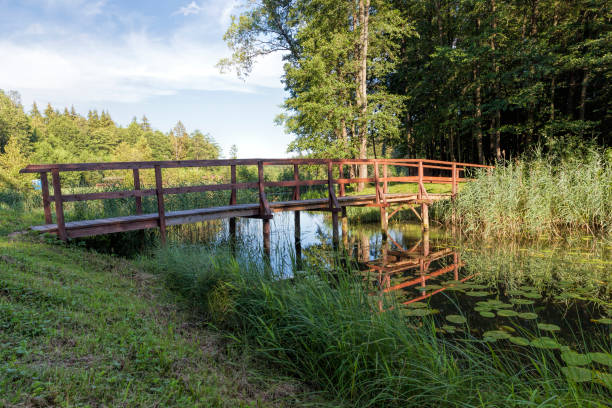 istock wooden bridge , close up 1306177686