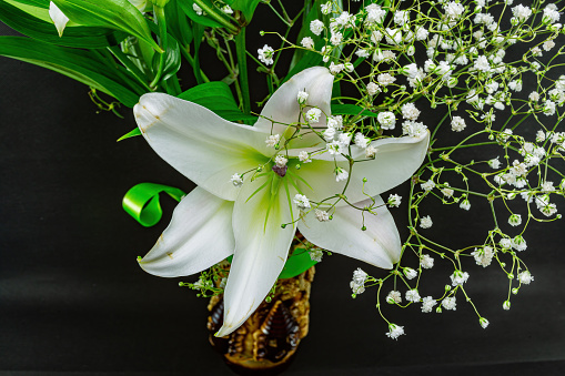 White lily close-up with small flowers