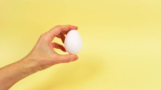 istock One chicken white egg in a woman's hand isolated on a yellow background. Happy Easter Day concept. 1306180054