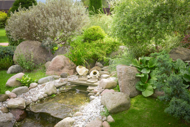 Photo of garden and pond
