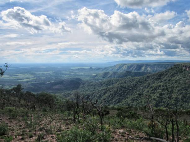 berge und klippen von chapada dos guimaraes - majestic awe canyon national park stock-fotos und bilder