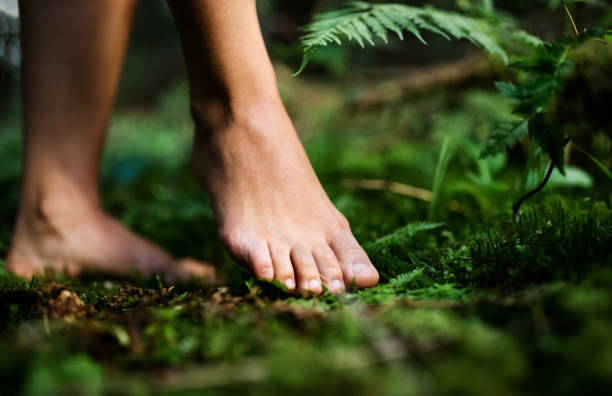 Bare feet of woman standing barefoot outdoors in nature, grounding concept. Bare feet of woman standing barefoot outdoors in nature, grounding and forest bathing concept. barefoot stock pictures, royalty-free photos & images
