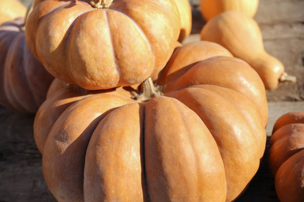 istock Pumpkins close-up on a wooden surface 1306181524