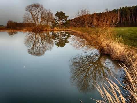 trees are mirroring in lake