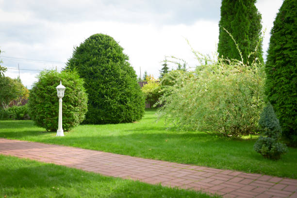 istock Beautiful garden with trees, lawn with green grass 1306182913