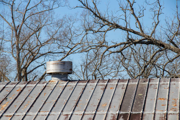 Close-up of an old standing seam metal roof with peeling paint and rust against bare trees and a blue sky. stock photo