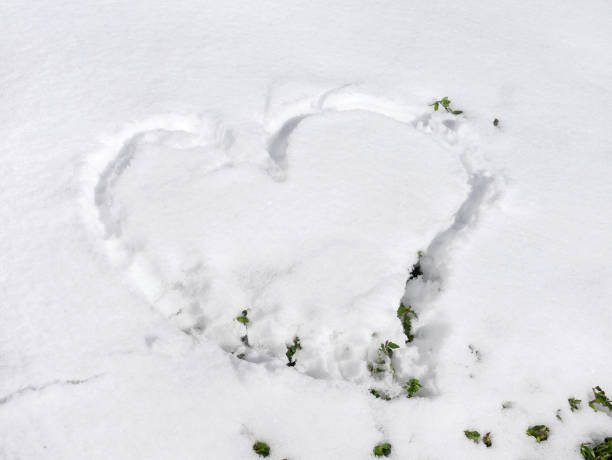 istock Heart shape drawn on the fresh snow. Winter nature background 1306185009