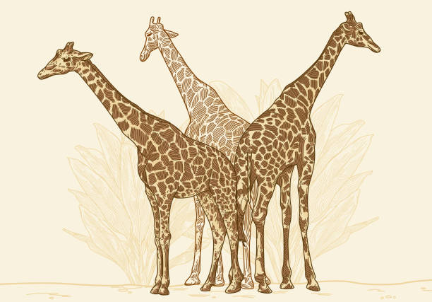3匹のキリンは群衆 - giraffe print点のイラスト素材／クリップアート素材／マンガ素材／アイコン素材