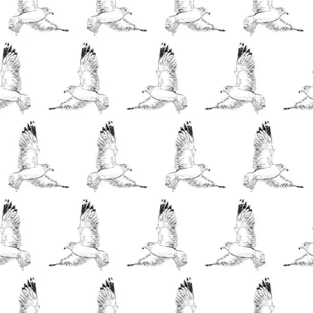 Vector illustration of Seagull Flying Seamless Pattern Ink Drawing. EPS10 Vector Illustration