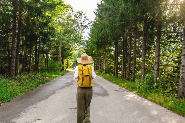 istock Woman with backpack walking on the road in the woods 1306186980