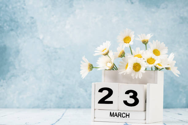istock White cube calendar for march decorated with daisy flowers over blue with copy space 1306193696