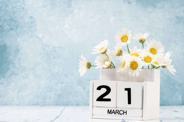 istock White cube calendar for march decorated with daisy flowers over blue with copy space 1306193700