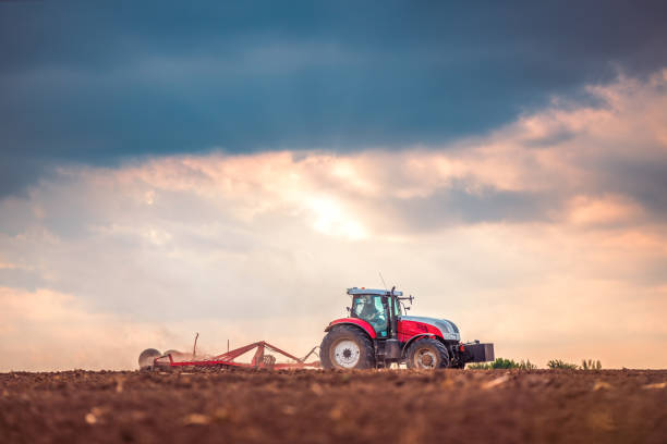 istock Farmer in tractor preparing land with seedbed cultivator 1306194864