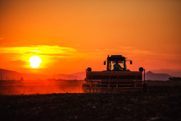 istock Farmer with tractor seeding crops at field on sunset 1306194888
