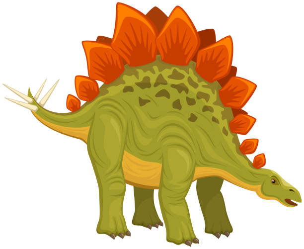 illustrazioni stock, clip art, cartoni animati e icone di tendenza di stegosauro - stegosauro