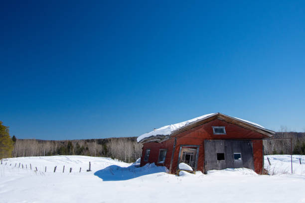 istock Very old garage in a field during Quebec winter 1306196154