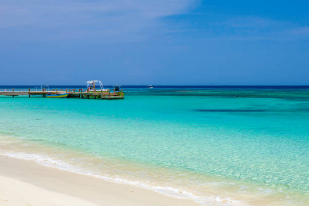 Getting ready for a Parasailing adventure off a Roatan Island