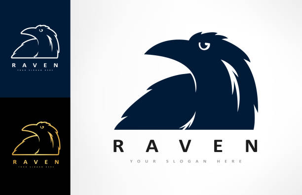 rabe vektor. krähe vogel. tier-design. - bird nature animal head beak stock-grafiken, -clipart, -cartoons und -symbole