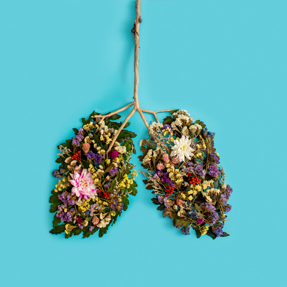 Colorful flowers, leaves and tree branches in shape of healthy and beautiful human lungs. Isolated on blue background.