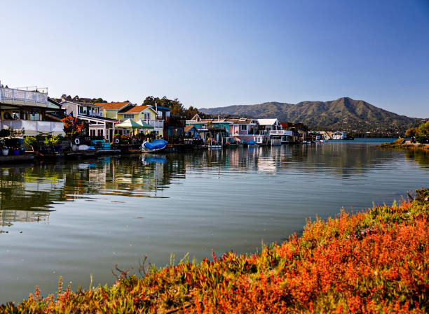 istock California Living 1306202392