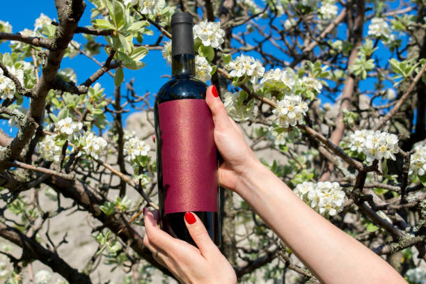 Wine bottle on nature