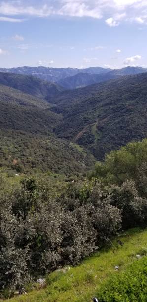 istock Nature scenery of hills 1306210561