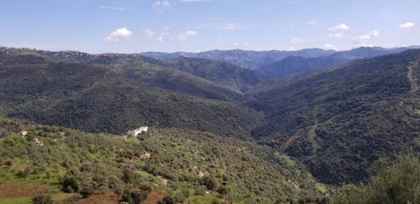 Nature scenery of hills
