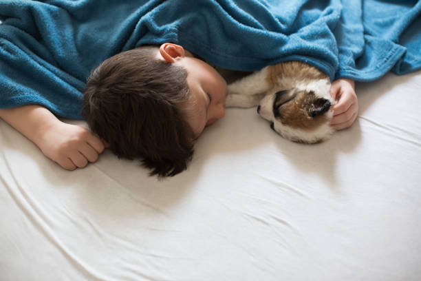 Top view. Young boy elementary age is sleeping on his bed covered with blue blanket with his puppy. They are both in sweet dreams, resting and relaxing.