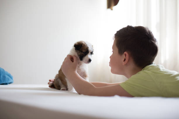istock Young boy is lying on bed andplaying with puppy. 1306211807