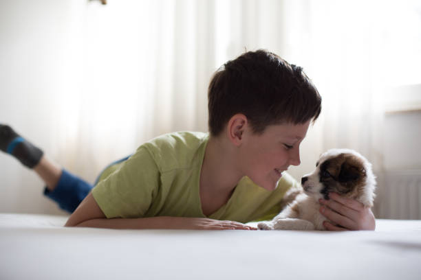 istock Young boy lying on bed, hugging puppy. 1306211852
