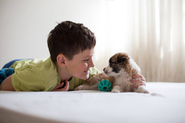 istock Young boy is lying and playing with puppy. 1306211897