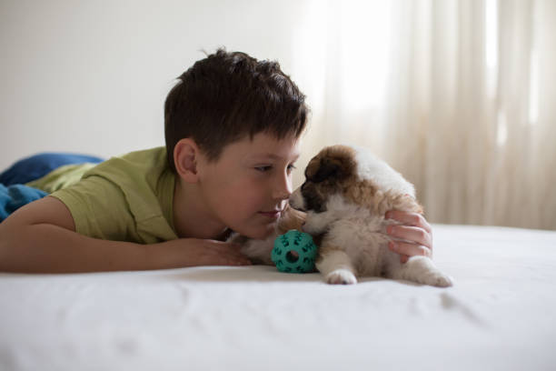 istock Boy and puppy lying and playing. 1306211904