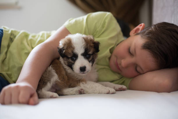 istock Boy lying by little puppy. 1306212530