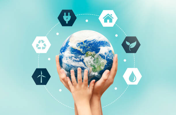 istock Earth globe in hands. Environmental protection 1306212677