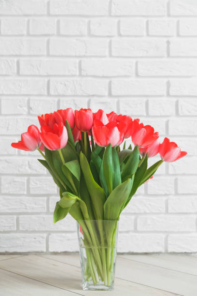 istock Pink tulips in glass vase on background white brick wall. 1306215841