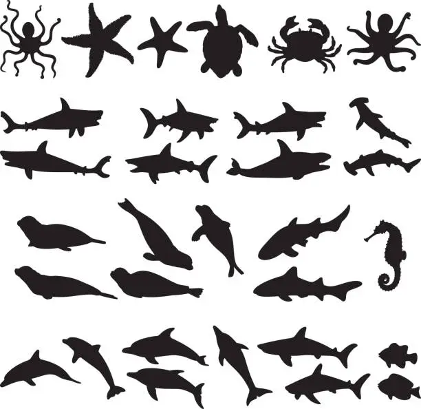 Vector illustration of Sea Animal Silhouettes